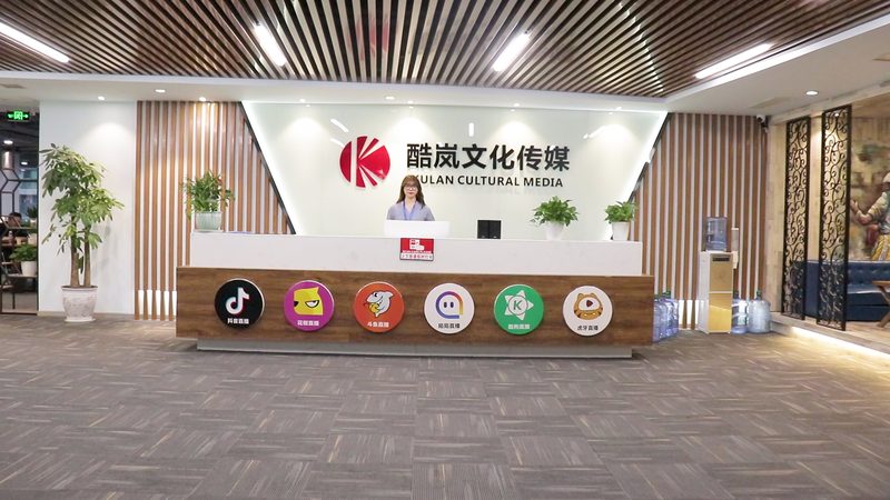 专业宣传片配音公司推荐